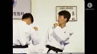 Hapkido kicks [upl. by Eno]