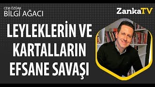 İnanılmaz ama Gerçek Leyleklerin ve Kartalların Efsane Savaşı [upl. by Llemert788]