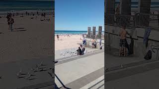 Surfers Paradise Beach 🏖️ Gold Coast Australia 🇦🇺 [upl. by Wight676]