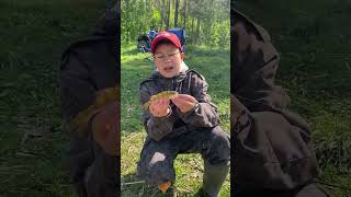 рыболовная fishing рыбалка нарыбалке carpfishing рекомендации carp fish рыба карп окунь [upl. by Epps420]