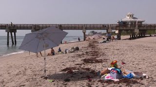 More Florida beaches to close as virus cases rise [upl. by Morgana]