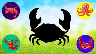 Sea Animal Puzzle For Kids  Puzzles For Kids  Crabs Octopus Lobster Caridean Shrimp [upl. by Igiul589]