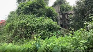 Old Lady Cleaning Abandoned House 30 Year Overgrown  Cut Overgrown Grass Front Yard [upl. by Sugna762]