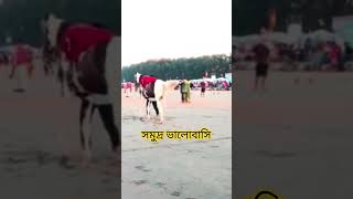 সমুদ্র কক্সবাজার। coxsbazar sortvideo nature travel cox worldtraveler597 bangladesh [upl. by Ettenrahs]