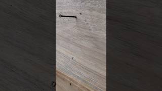 Hammering nails into wood youtube shorts [upl. by Einrae]