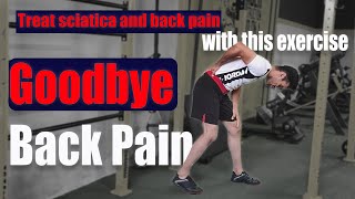 Exercises for the treatment of sciatica pain and low back pain [upl. by Adrien]