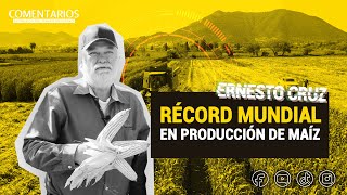 RÉCORD mundial en producción de MAÍZ 🌽  Ernesto Cruz [upl. by Kisung]