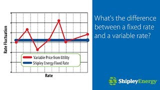 Fixed Rate vs Variable Rate [upl. by Elbart301]