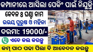 Odisha company Job 2024  Flipkart Packing Company job 2024  10th Pass Odisha Company job Packaging [upl. by Liscomb]