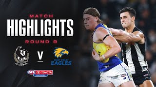 Collingwood v West Coast Eagles Highlights  Round 9 2024  AFL [upl. by Ecadnarb832]