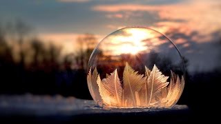 Artist Shows Bubbles Freezing in Real Time [upl. by Turne952]