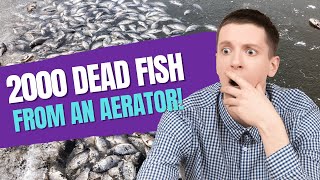 2000 Dead Fish From A Pond Aerator  Right After Installation [upl. by Aniakudo604]