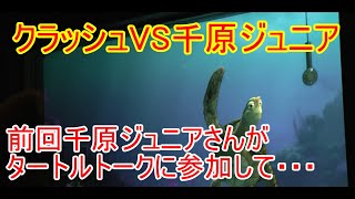 🔵クラッシュVS千原ジュニア【タートルトーク】東京ディズニーシー [upl. by Calista12]