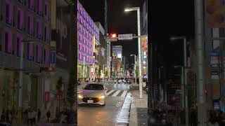 Ginza Night  4K Walk [upl. by Housen]