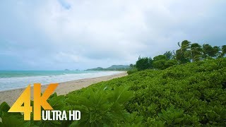 4K UHD Beach Relax Video with Ocean Waves Sounds  Hawaii  Oahu Beach 35 Hours Video [upl. by Wende]