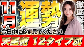 【星ひとみ】2024年11月の運勢を徹底解説！天星術占い12タイプ別！ [upl. by Aronek]