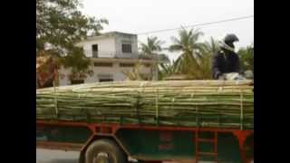 UNTAC Mission In Cambodia 19921993 [upl. by Godfree]