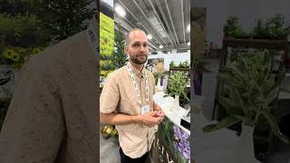 Young Living Conservation Project Interview with Tyler Wilson English [upl. by Strickland]