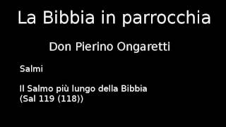 Salmi A12  Il Salmo più lungo della Bibbia [upl. by Reinke531]