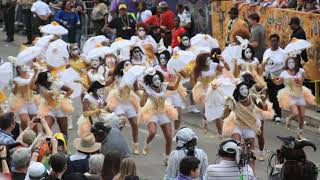 Mardi Gras Baby Dolls akaNew Orleans BabyDollLadies Centennial with Zulu 2012 [upl. by Fauman]