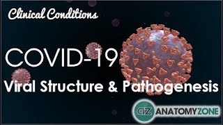 Coronavirus COVID19  Viral Structure amp Pathogenesis [upl. by Nohs]