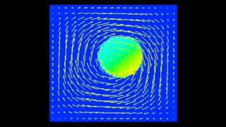 Finite Element Immersed Boundary Method [upl. by Audette]