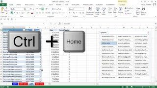 Excel Magic Trick 1256 Grouped Dates in PivotTable With Becomes UnGrouped When I Refresh [upl. by Christophe]