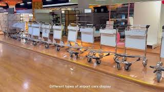 How many bags fit on an airport trolley [upl. by Zzaj]