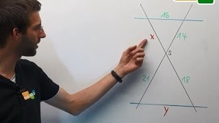 Strahlensätze 1 amp 2 Rechnung mit beiden Strahlensätzen  Geometrie [upl. by Airdnna]