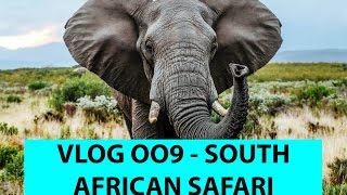 VLOG 009  AFRICAN SAFARI [upl. by Essined]