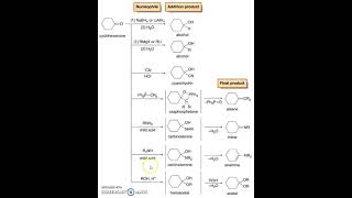 Reactions of Cyclohexanone [upl. by Lehcin]