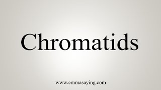 How To Say Chromatids [upl. by Swor494]