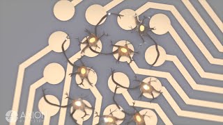 What is MEA  Multielectrode Array Assay [upl. by Afnin338]