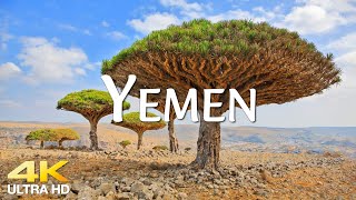 Yemen 4K Video Drone  Majestic Dragon Blood Tree Forests amp Beautiful Scenic  Piano Relaxing Music [upl. by Ranzini162]