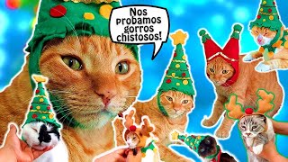 25 Minutos de mis GATOS Divertidos en Navidad 🙀La probadera de gorros ridiculos navidosos 🎄🙌🎁😹🤣 [upl. by Neva]