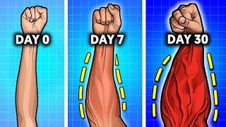 quotForearm Blast Workout  Build Massive Forearms Fastquot [upl. by Sola]