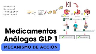 💊 Mecanismo de acción de Medicamentos Análogos GLP 1💉 Ozempic ® Saxenda ® Rybelsus ® y otros [upl. by Ecienaj]