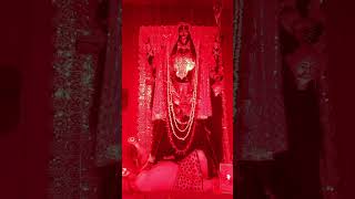 🙏🙏Kaali maa puja 🙏🙏 kaalima kalipuja2024 pujavidhi bhakht shortsfeed [upl. by Claudina]