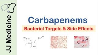 Carbapenems  Bacterial Targets Mechanism of Action Side Effects [upl. by Annad]