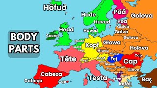 European Languages COMPARISON  Body Parts [upl. by Nosbig817]