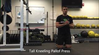 Resilient Performance PT  Tall Kneeling Pallof Press [upl. by Terencio]