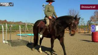 Working Equitation – Brücke Tor und Tonnen [upl. by Rehpotsihc990]