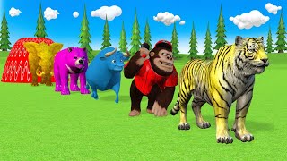 Long Slide Game With Elephant Cow Buffalo Gorilla Hippopotamus Kong Tiger Lion Funny 3d Animal Game [upl. by Eanram]