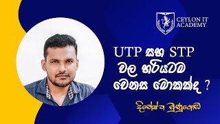 How to Identify STP and UTP [upl. by Armat]