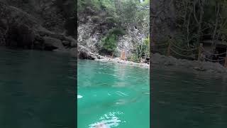 Swimming With Ducks Goynuk Canyon Park Blue Lagoon shorts Turkish Boohing [upl. by Gretal84]