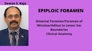 EPIPLOIC FORAMEN [upl. by Laughlin]