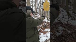 9mm VS 357 Sig from 75 Yards  147 gr Hornady Custom for Both [upl. by Atnauqal]