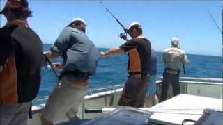 Jiggy Jiggy II  Extreme Montebello Jigging Mayhem Fishing for Coral Trout Cod and Emperor [upl. by Arze156]