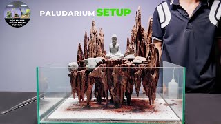 Setup Paludarium With Nature Style In 1 Hour Paludarium Tutorial Guide [upl. by Hajed]