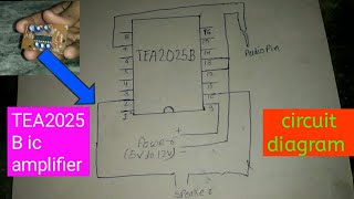 TEA2025B ic amplifier circuit diagram [upl. by Harim]